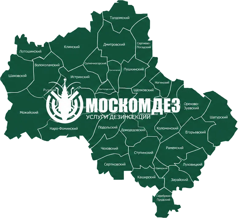 Карта выезда: Красноармейск и Московская область
